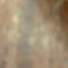 ellie_tollett